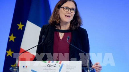 EU kêu gọi Mỹ đàm phán về cải cách WTO