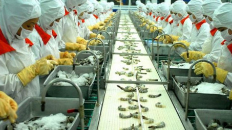 Xuất khẩu thủy sản đạt 8,1 tỷ USD trong 11 tháng