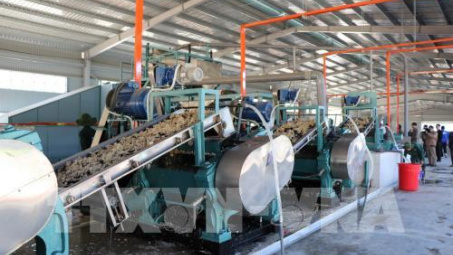 Nhà máy chế biến mủ cao su đầu tiên tại khu vực Tây Bắc chính thức hoạt động