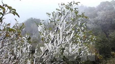 Thời tiết ngày cuối cùng năm 2018: Các tỉnh miền Bắc chìm sâu trong giá lạnh