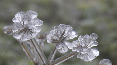 Băng dày 5 cm bao phủ đỉnh Mẫu Sơn