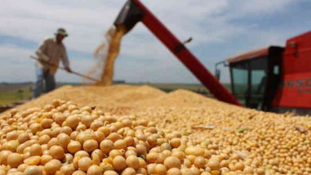 Trung Quốc có thể tiếp tục mua đậu tương của Mỹ từ ngày 1/1/2019