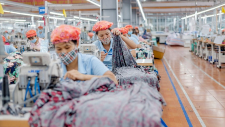 May Sông Hồng tạm ứng cổ tức bằng tiền tỷ lệ 40%