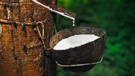 Ấn Độ tăng cường nhập khẩu cao su từ Việt Nam