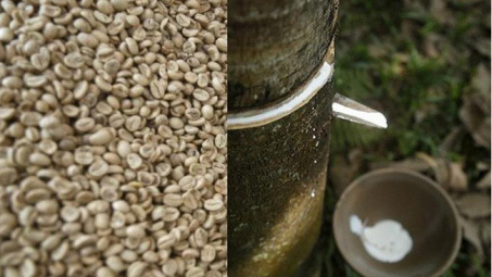 Diễn biến các mặt hàng nông sản và mặt hàng cao su trong ngày 5/10