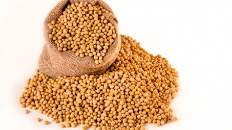 Nông sản 15/1/2019: Giá đậu tương tăng hạn chế trong bối cảnh lo ngại về nhu cầu từ Trung Quốc