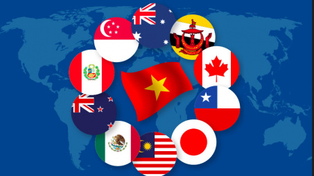 519 dòng thuế xuất khẩu dự kiến được ưu đãi trong biểu thuế ưu đãi thực hiện CPTPP