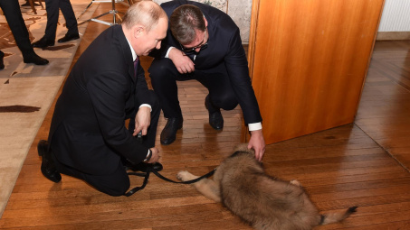 Tin ảnh: Putin rất thích nuôi chó