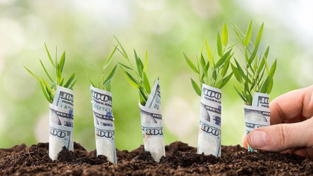 Bạn đã biết cách tiết kiệm được nhiều tiền trong năm 2019?