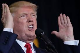 Quốc tế nổi bật: Khi Donald Trump tức giận