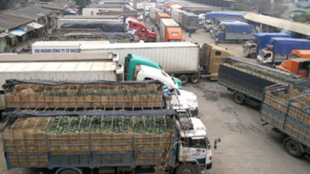 Vào vụ xuất khẩu dưa hấu sang Trung Quốc: Bộ Công Thương khuyến cáo DN tuân thủ quy định, tránh rủi ro