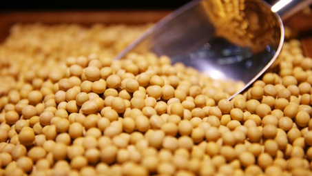 Diễn biến giá một số loại nông sản trong ngày 15/10