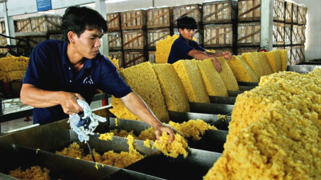 Xuất khẩu cao su sang Trung Quốc sắp cán đích 1 tỷ USD