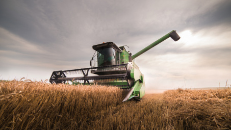 Giá lúa mì mất mốc cao nhất trong vòng 4 tháng trở lại đây