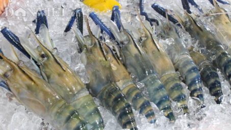 Dự báo xuất khẩu tôm năm 2019 giảm 4% so cùng kỳ