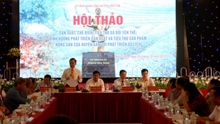 Gà đồi Yên Thế phát triển cùng du lịch