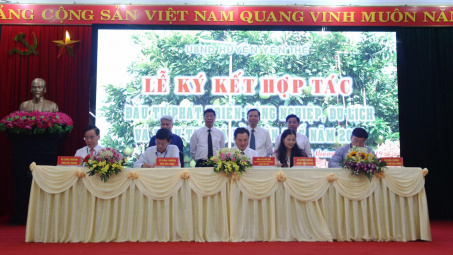 Hợp tác tiêu thụ gà đồi Yên Thế