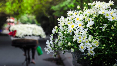 Thời tiết 27/10: Thời tiết đầu đông quá đẹp để đi "săn ảnh" đẹp - độc - lạ