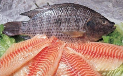 Hàng dự trữ cạn kiệt, Mỹ tiếp tục nhập cá rô phi từ Trung Quốc