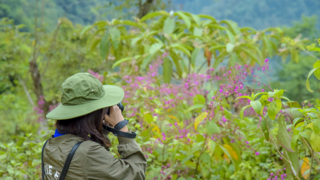 Bản Khoang - Đêm không ngủ
