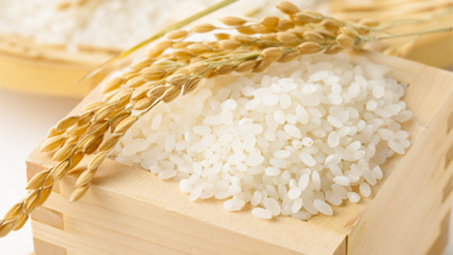 Nhu cầu yếu và biến động tiền tệ đẩy giá gạo châu Á giảm đồng loạt