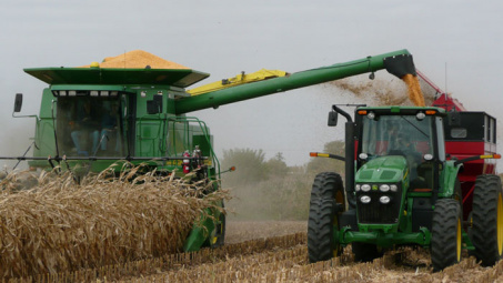 Giá ngô tăng phiên thứ 4 liên tiếp, giá cao su tăng lên mức cao nhất (ngày 17/5)