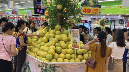 Lần đầu đến Thủ đô, bưởi Phúc Trạch được "săn đón" tại chuỗi siêu thị Big C