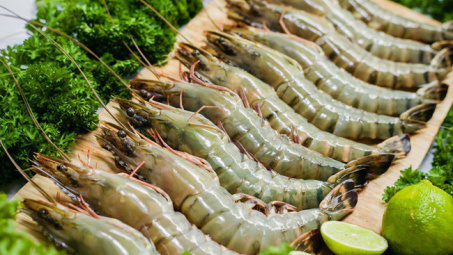 Dự báo xuất khẩu tôm sang Trung Quốc tiếp tục duy trì tăng trưởng dương