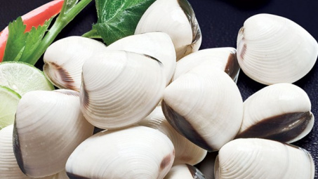 Xuất khẩu nhuyễn thể hai mảnh vỏ tăng hơn 25% trong quý III/2019