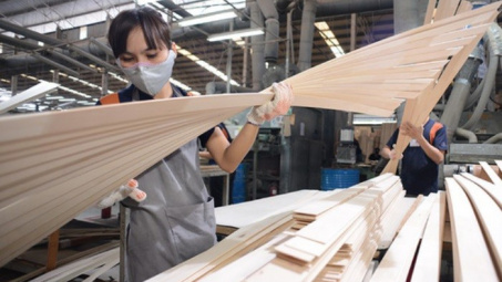 Tạm ngừng kinh doanh, tạm nhập tái xuất gỗ dán sang Hoa Kỳ