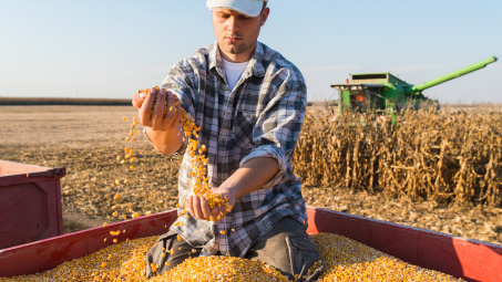 Giá các loại nông sản giảm mạnh trong phiên giao dịch cuối tuần