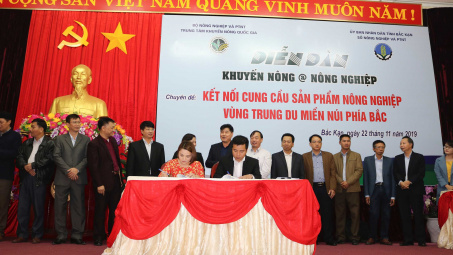 Ký hợp đồng hợp tác, Big C tạo sinh kế cho hàng trăm nông dân đồng bào thiểu số tỉnh Bắc Kạn