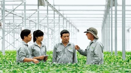 Sẽ xin ý kiến xây dựng luật riêng về kinh tế hợp tác trong nông nghiệp