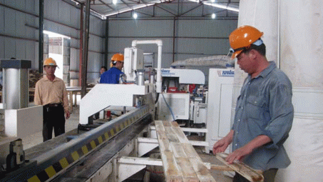 Thủ tướng yêu cầu xây dựng hệ thống cấp phép FLEGT điện tử