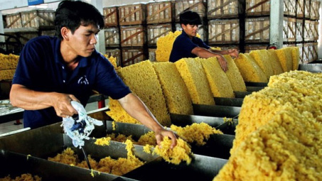 Xuất khẩu cao su sang các thị trường lớn đều tăng trưởng khá