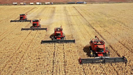 Giá các loại nông sản giảm nhẹ trước khi thị trường nghỉ lễ