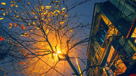 Thời tiết 6/11: Miền Bắc đêm và sáng sớm trời rét