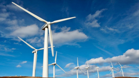 16 tua bin gió trên đất liền công suất lớn nhất Việt Nam chính thức phát điện