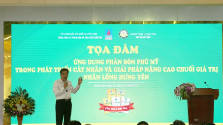 Phân bón Phú Mỹ giúp nâng cao chuỗi giá trị Nhãn lồng Hưng Yên