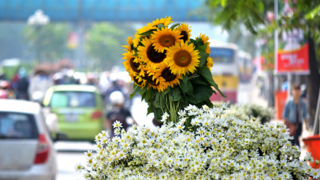 Thời tiết 16/10: Đầu tuần miền Bắc nắng đẹp, nhiệt độ tăng