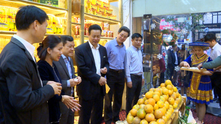 Cam sành Hà Giang "ra mắt" người dân Thủ đô