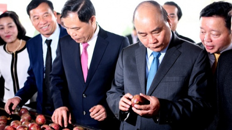 Xuất khẩu rau quả: Giảm ở Trung Quốc, tăng mạnh sang Hoa Kỳ, EU, Nhật Bản…