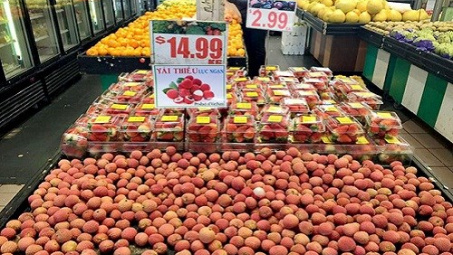 Trái cây Việt Nam chinh phục thị trường khó tính