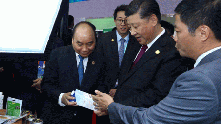 Thủ tướng ủng hộ xuất khẩu qua thị trường chính ngạch, sớm lấy lại "thẻ xanh" của EC