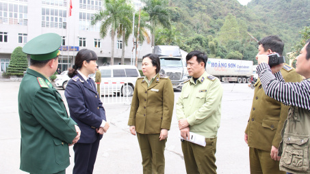 Không có tình trạng xuất lợn lậu, bảo kê cho hoạt động này