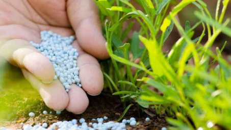 Hướng dẫn mới về phân loại phân bón