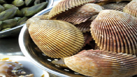 Xuất khẩu nhuyễn thể hai mảnh vỏ sang EU tăng trưởng mạnh