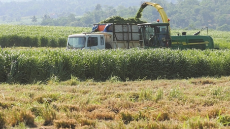 M&A Việt khởi động với thương vụ 135 triệu USD