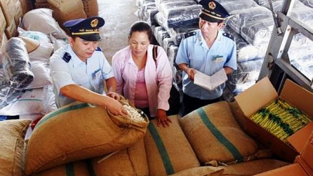 Kiểm tra thực tế phân bón NK để ngăn việc lẩn tránh thuế tự vệ