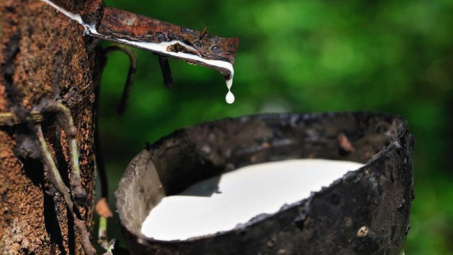 Năm 2019: Dự báo xuất khẩu cao su sang thị trường Ấn Độ  khó tăng mạnh